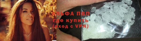ПСИЛОЦИБИНОВЫЕ ГРИБЫ Богородск