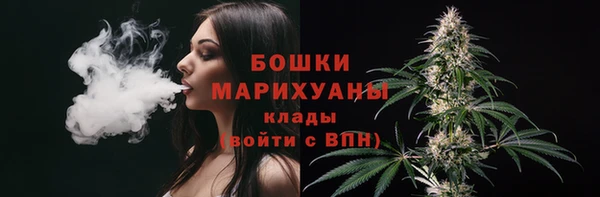 первитин Богородицк