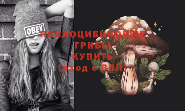 не бодяженный Богданович