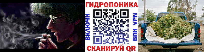 Конопля тримм  купить наркоту  Минеральные Воды 